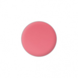 Lipstick Refills for Customized Palettes